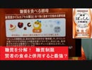 【糖質制限】お腹の中で糖質を水と炭酸ガスに分解「ぱっくん分解酵母」