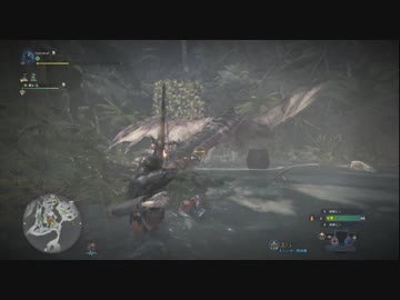 【MHWβ】 リオレウス 弓 ソロ 06:05