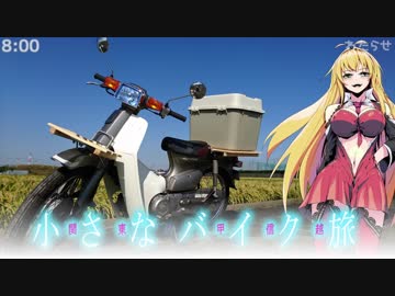 関東甲信越小さなバイク旅【2017】第20回渡良瀬遊水地②