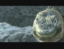 レイカ　２３歳　OL　キョロキョロ