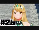 【日刊実況】仕事を辞めた男のゼノブレイド２ part26