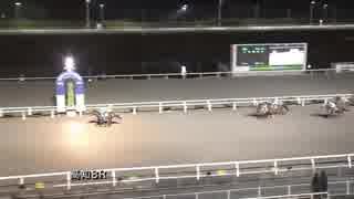 2017年12月10日高知競馬8R 四匹のオッサン協賛 高知見参忘年の宴特別(C1-4組)