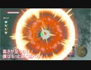 ゼルダ歴ゼロ年による生活記録 part 83