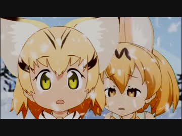 ゆきやまちほーに来たスナネコ