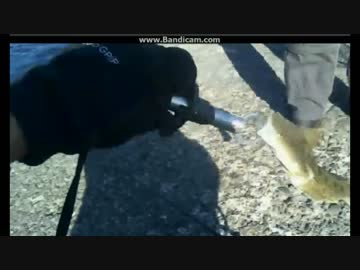 茨城県会瀬港で釣り