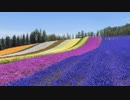 FLAG／オリジナル楽曲メドレー