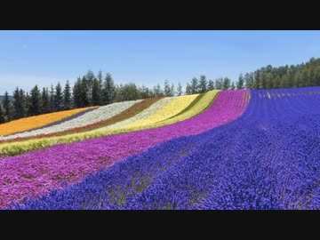 FLAG／オリジナル楽曲メドレー