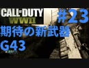 【CoD:WW2】FPS歴7年の実況プレイ#23【FFA G43】