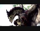 【MH:W】新大陸でアンジャナフ誘導作戦(ゆっくり実況)