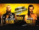 【NXT】次期NXT王座挑戦者決定戦：予選②【17.12.13】