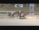 2017年12月13日川崎競馬10R ジョイホース横浜賞 ヤマイチレジェンド