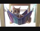 キャットタワーをDIYしてみた！