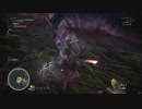 MH:W β版きたのでやってみた。　「アンジャナフ編」