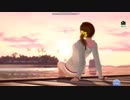 DEAD OR ALIVE Venus Vacation みさき グラビアパネル ３