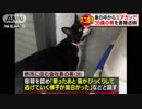 「面白かった」飼い猫に“エアガン”　
