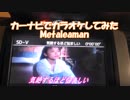 【歌ってみた】【カーナビでカラオケ】気絶するほど悩ましい/Char Metaleaman