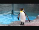 パーク・オブ・ザ・トウブ　王の降臨(東武動物公園)