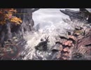 【MHW】 β リオレウス チャアク ソロ 05'28 TA練習中NG動画その２