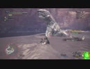 双剣でベータテスト【ジュラトドス】をゆっくり討伐【ＭＨＷ】