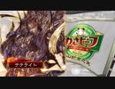 【天下統一戦】三国志大戦4Ver.1.1.0C【サテライト】58回