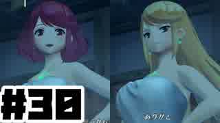 【日刊実況】仕事を辞めた男のゼノブレイド２ part30