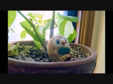 【ポケモンSM】羊毛フェルトでモクロー作ってみた