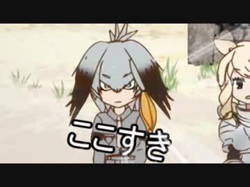 ハシビロガン見ー