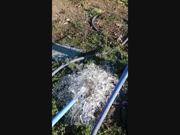 ホースの中の水が凍ると…？ 超キモチイイ!!