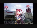 長崎屋のサンディエゴ