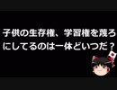 【ゆっくり保守】普天間第二小学校の移転を活動家が妨害していた