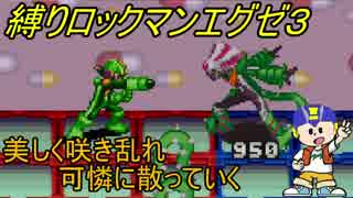 [華のある縛り実況]ロックマンエグゼ３：Part27