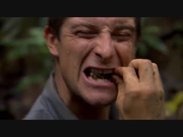 熊さん VS パナマⅠ