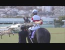 2017年　第69回 朝日杯FS（GⅠ）【ダノンプレミアム】