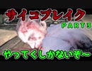 [ホラー実況]サイコブレイクやってくしかないぞ～！！ＰＡＲＴ3