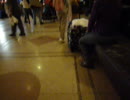 2011年2月聖地巡礼inNY④-１