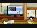 【ゆっくり実況】ゆっくりできないヴァンキッシュ　#1