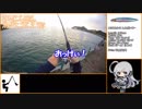 ジルと俺の釣り物語 part.25#ハマチとストラディック【ゆっくり実況】