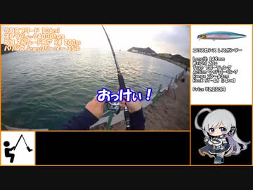 ジルと俺の釣り物語 part.25#ハマチとストラディック【ゆっくり実況】