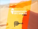 MDS PERU 20017　走牛記　メキシコからリマへ編　No.2