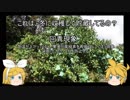 元産直店員の脱サラ農業　第六回
