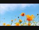 [弾き語り]　世界に一つだけの花　[歌ってみた]