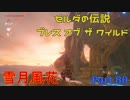 実況とはよべないゲームプレイ【のんびり冒険 ゼルダの伝説BotW】80