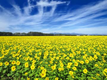 十勝平野より　太陽の丘　【ピアノ曲　オリジナル】
