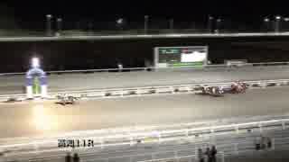 2017年12月20日高知競馬11R 師走特別(A-1組) セトノプロミス