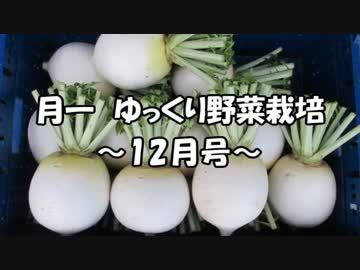 月一 ゆっくり野菜栽培 Part4