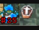 【25】死んだら実況終了!!!!ドラゴンクエスト４　導かれし者たち