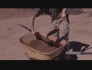 アリサカ マッドテスト (字幕付き)