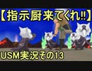 【指示厨来てくれ!!】初代しか知らなかったけどUSMやるから！その13