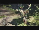 第二回 MHW:β プケプケ＆アンジャナフ狩猟 大剣
