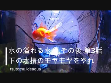 水の溢れる水槽 第3話 「下の水槽のモヤモヤをやれ。」